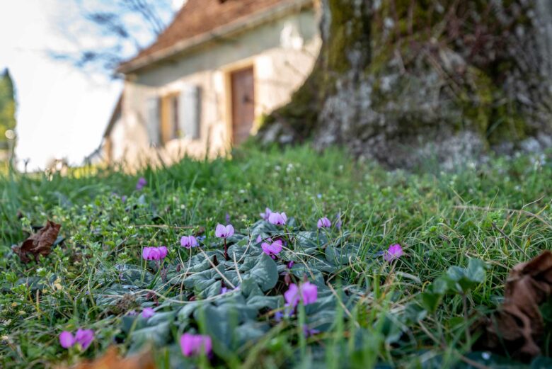 Jardin privatif du gîte dans le Lot