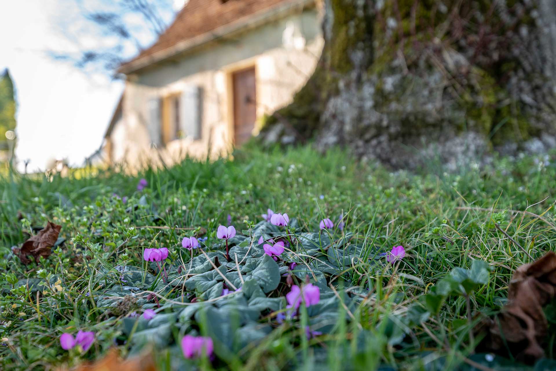 Jardin privatif du gîte dans le Lot