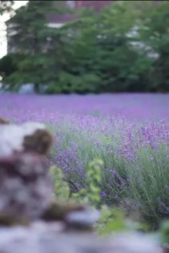 Sites culturels et visites pour toute la famille dans la vallée de la dordogne