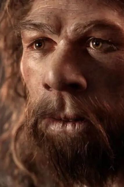 musées dans la vallée de la dordogne