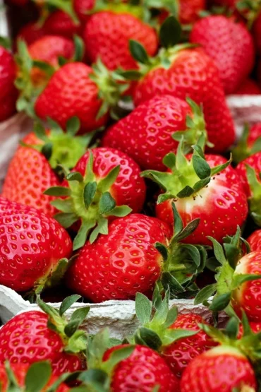 marchés dans la vallée de la Dordogne, au mas de garet